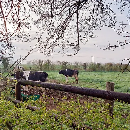 Le Logis Du Clairay Saint-Sulpice (Pays de la Loire)