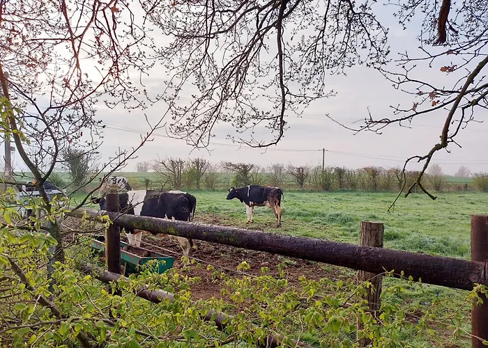 Le Logis Du Clairay Saint-Sulpice